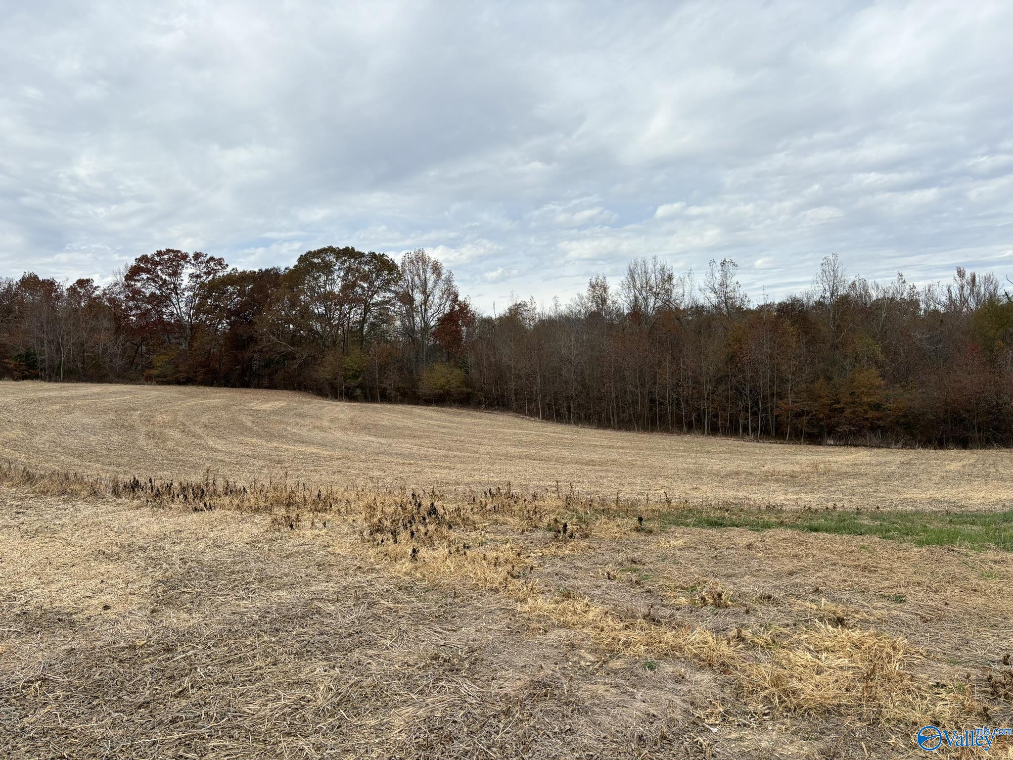 34 Acres Honea Road, Hazel Green, Alabama image 9