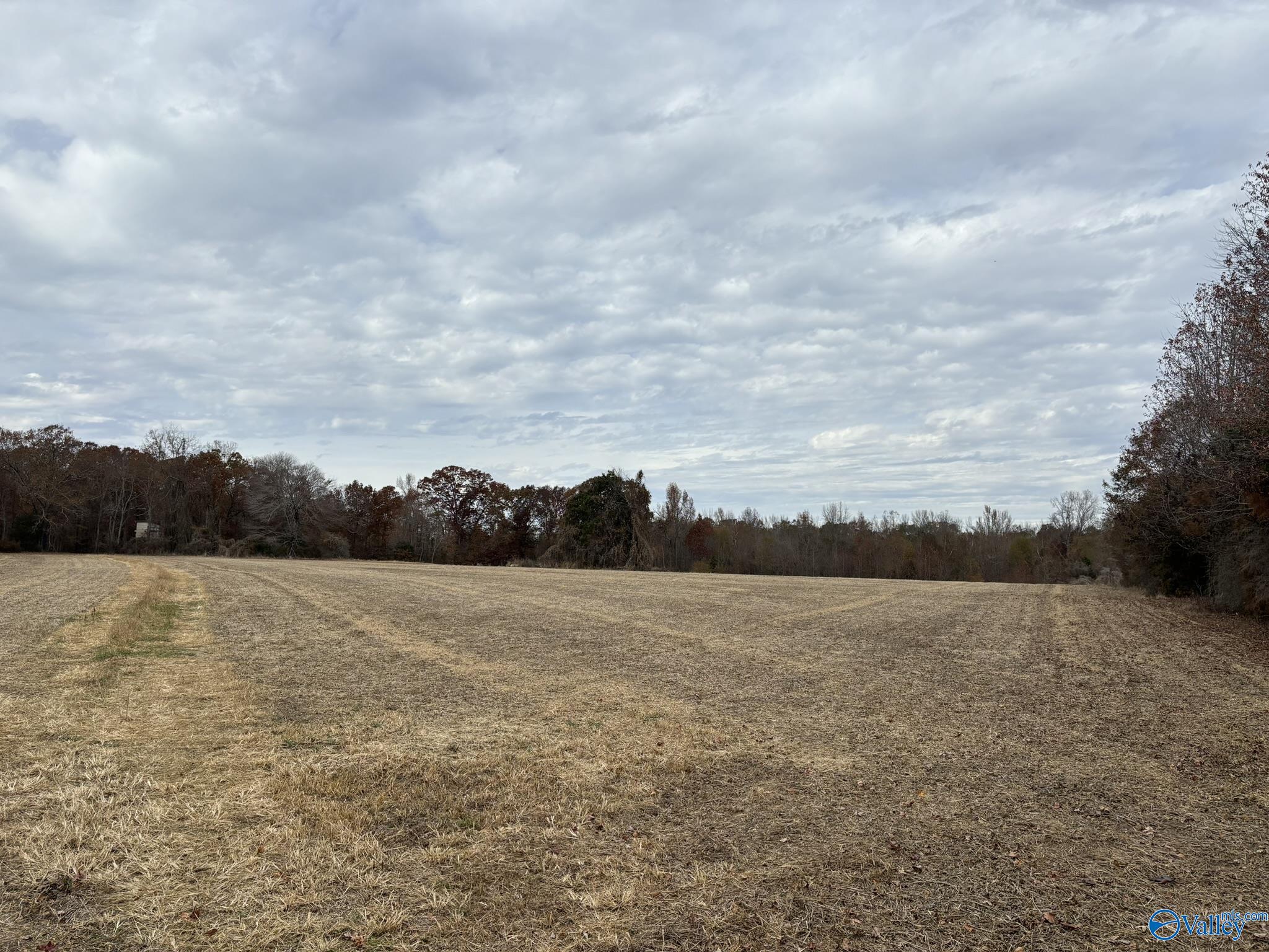 34 Acres Honea Road, Hazel Green, Alabama image 2