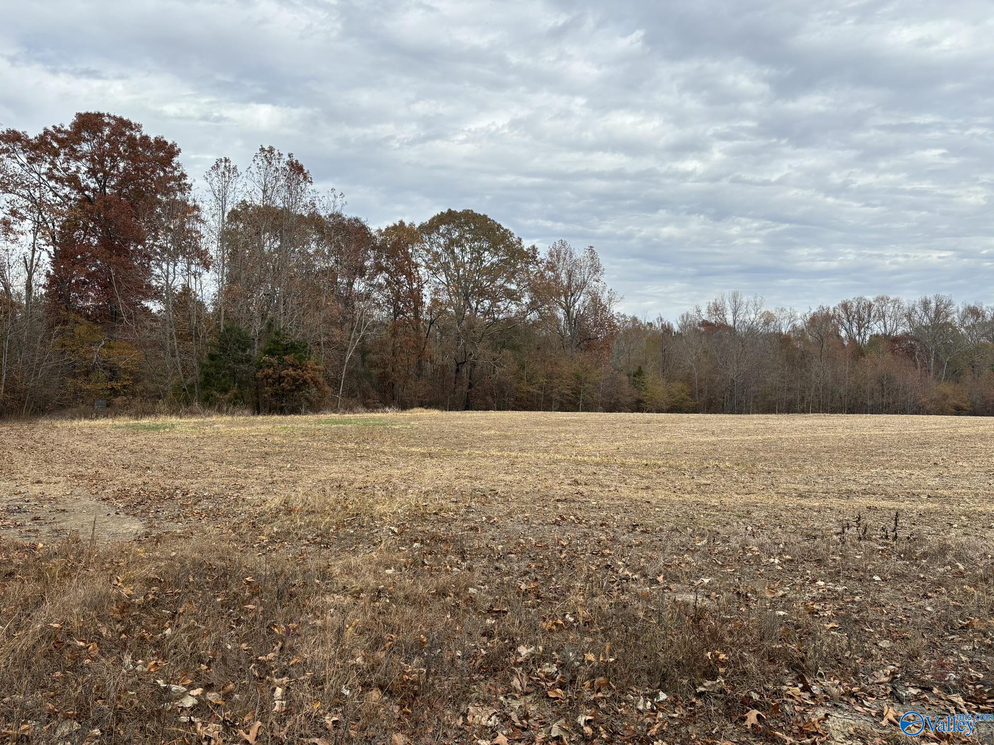 34 Acres Honea Road, Hazel Green, Alabama image 4