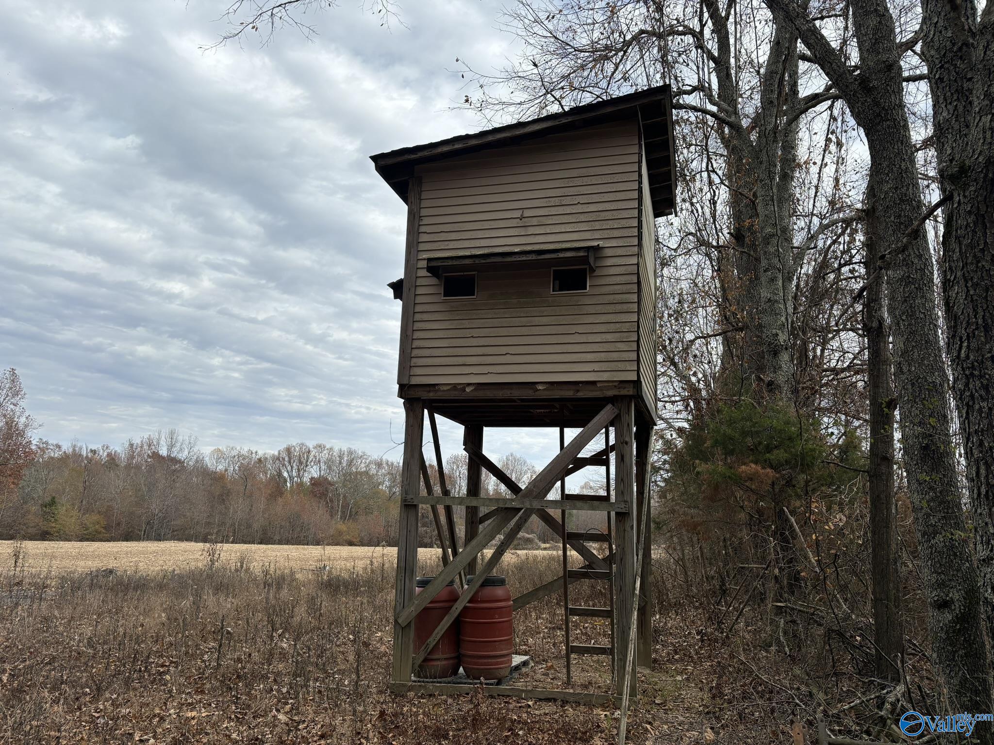 34 Acres Honea Road, Hazel Green, Alabama image 5