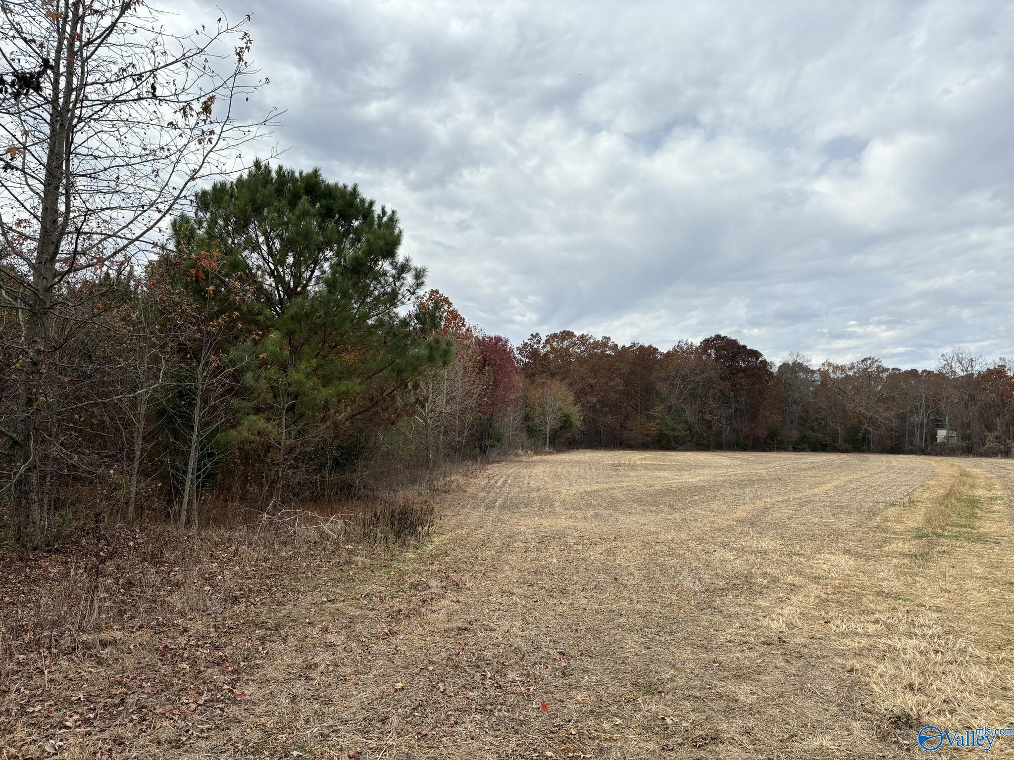 34 Acres Honea Road, Hazel Green, Alabama image 3