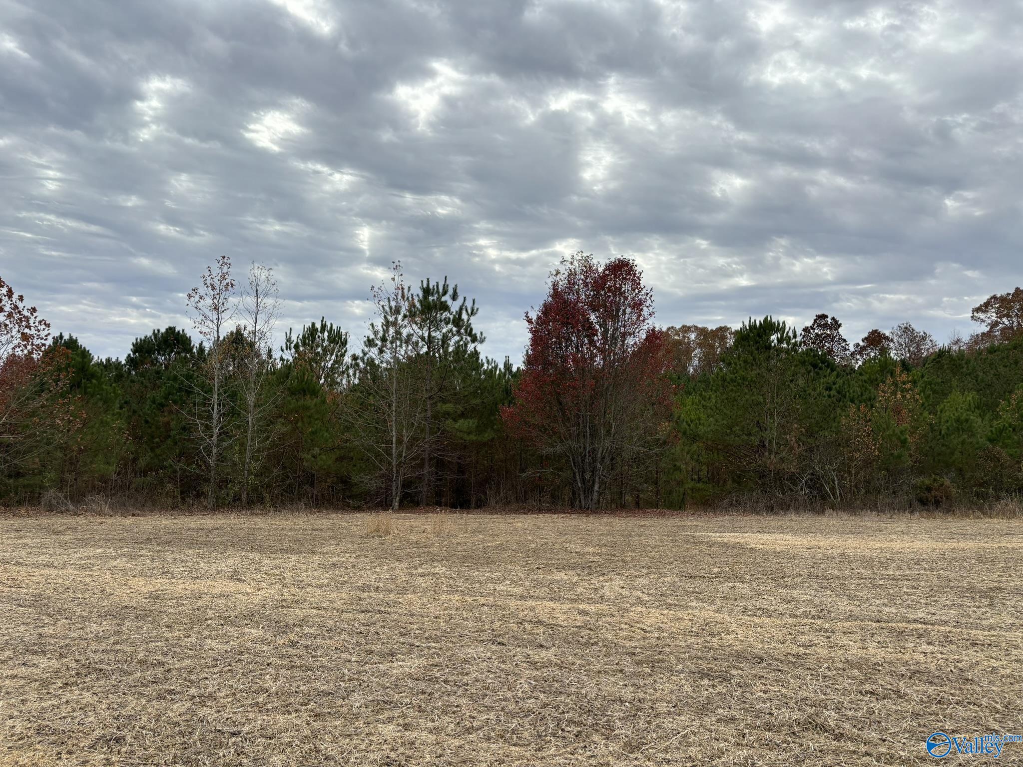 34 Acres Honea Road, Hazel Green, Alabama image 8