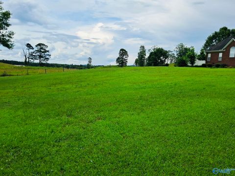 Vacant Land For Sale - 27 Silver Lakes Blvd<br/> Calhoun County, Gadsden, AL 35905