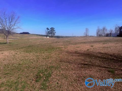 Vacant Land For Sale - 27 Silver Lakes Blvd<br/> Gadsden, AL 35905