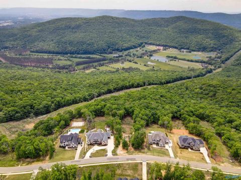 Vacant Land For Sale - 41 Watson Grande Way<br/> Owens Cross Roads, AL 35763