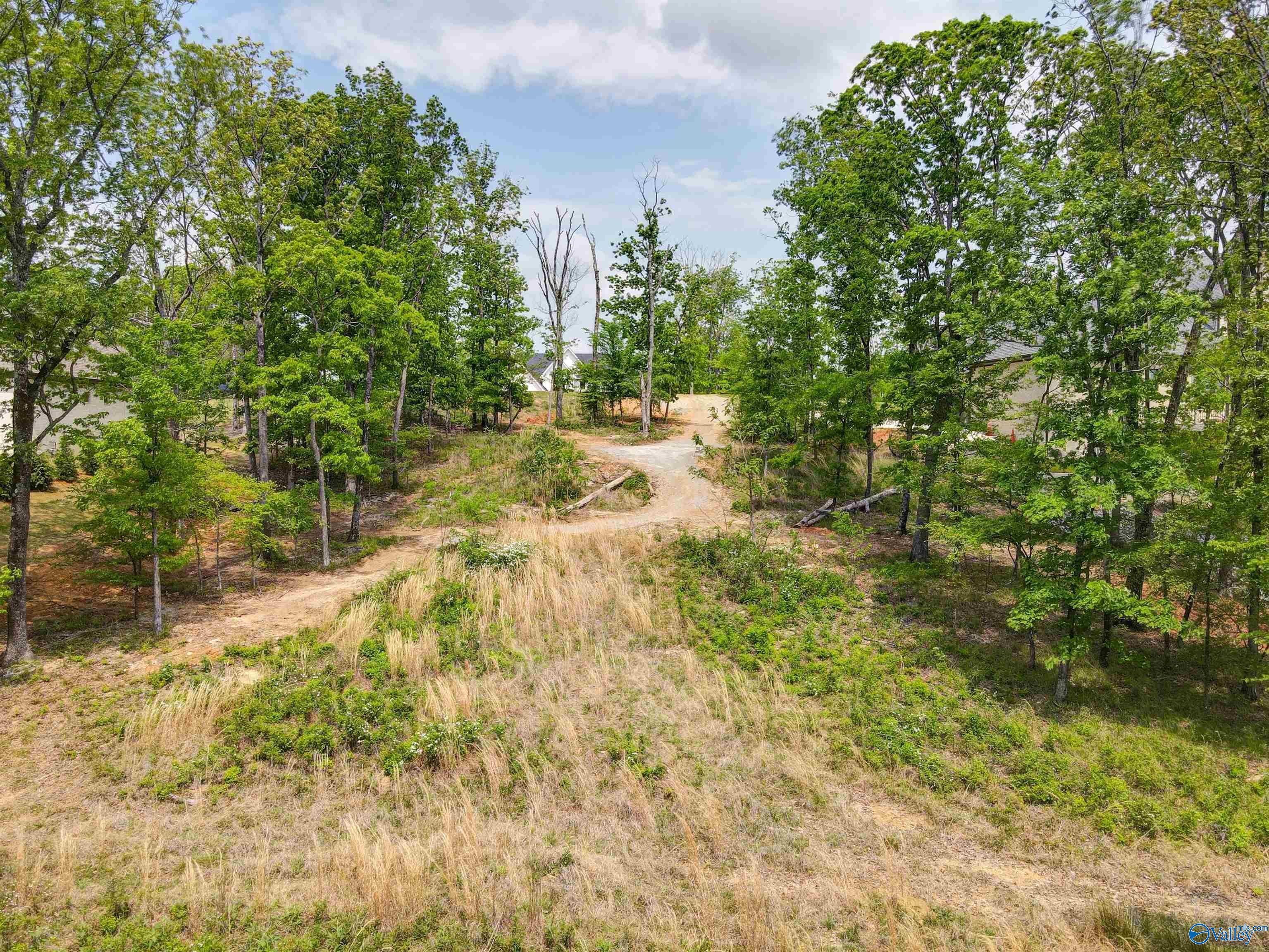 Lot 21 Watson Grande Way, Owens Cross Roads, Alabama image 4