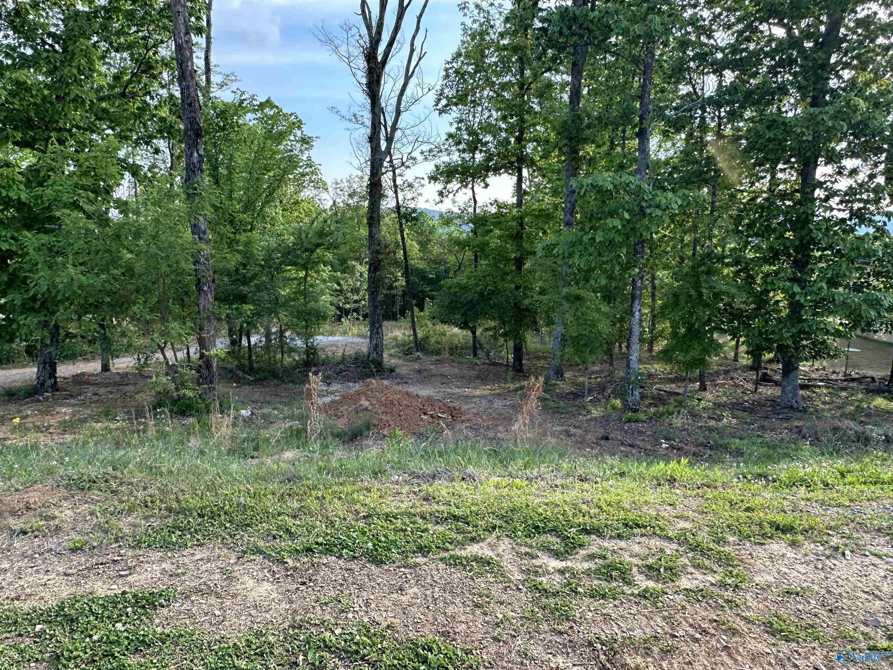 Lot 21 Watson Grande Way, Owens Cross Roads, Alabama image 2