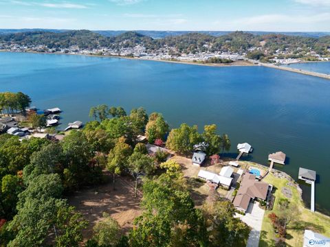 Vacant Land For Sale - 1605 Wyeth Drive<br/> Guntersville, AL 35976