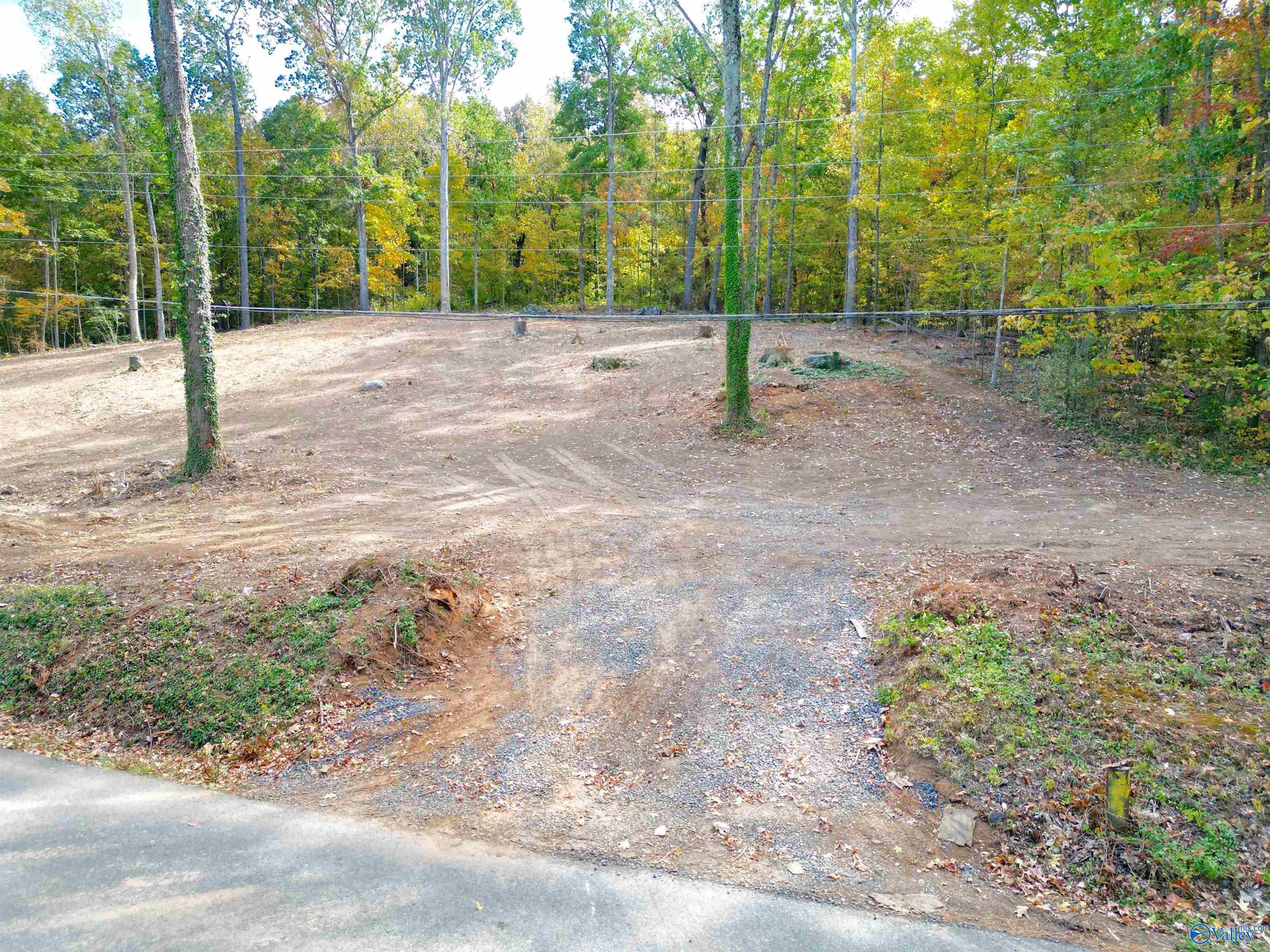 1605 Wyeth Drive, Guntersville, Alabama image 5