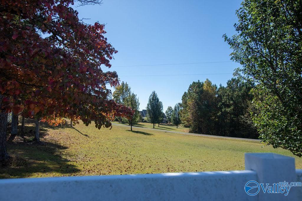 581 Dogwood Trail, Boaz, Alabama image 40