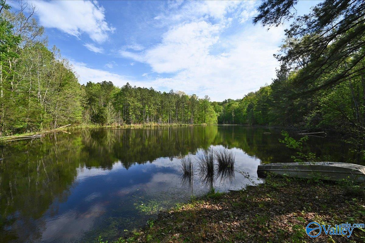143 Maze Drive, Hartselle, Alabama image 41
