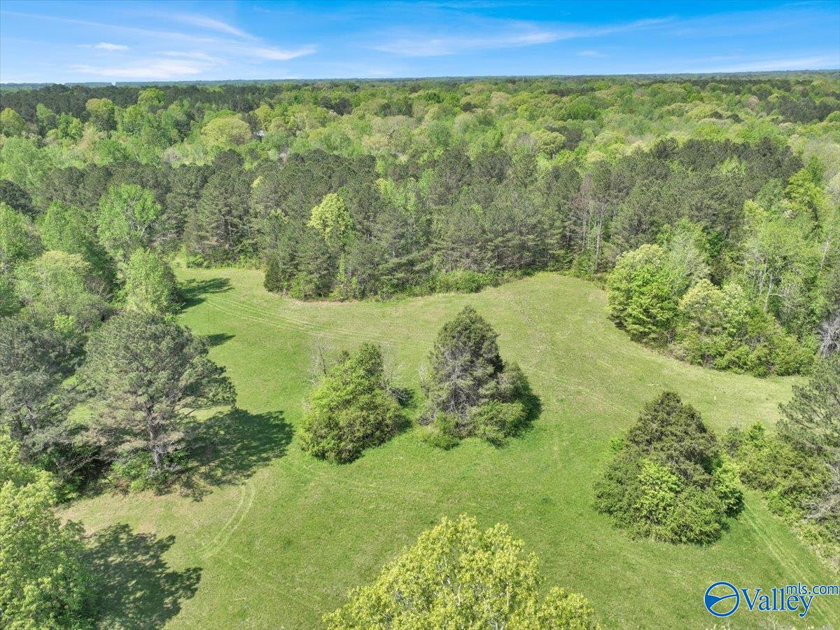 143 Maze Drive, Hartselle, Alabama image 46