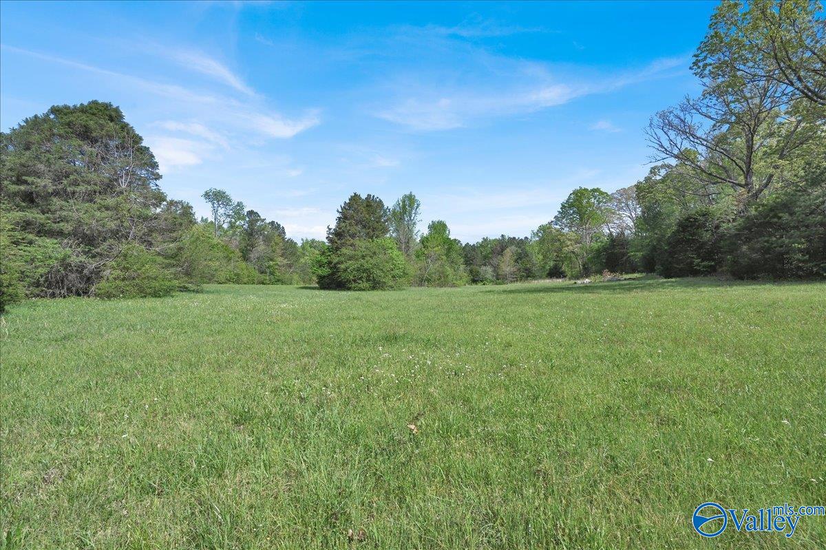 143 Maze Drive, Hartselle, Alabama image 45
