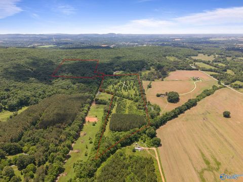 Vacant Land For Sale - 259 Henry St Clair Road<br/> New Market, AL 35761