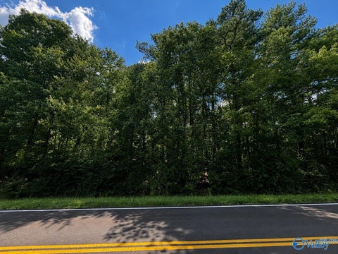 Vacant Land For Sale - 1311A Adamsburg Road<br/> Fort Payne, AL 35967