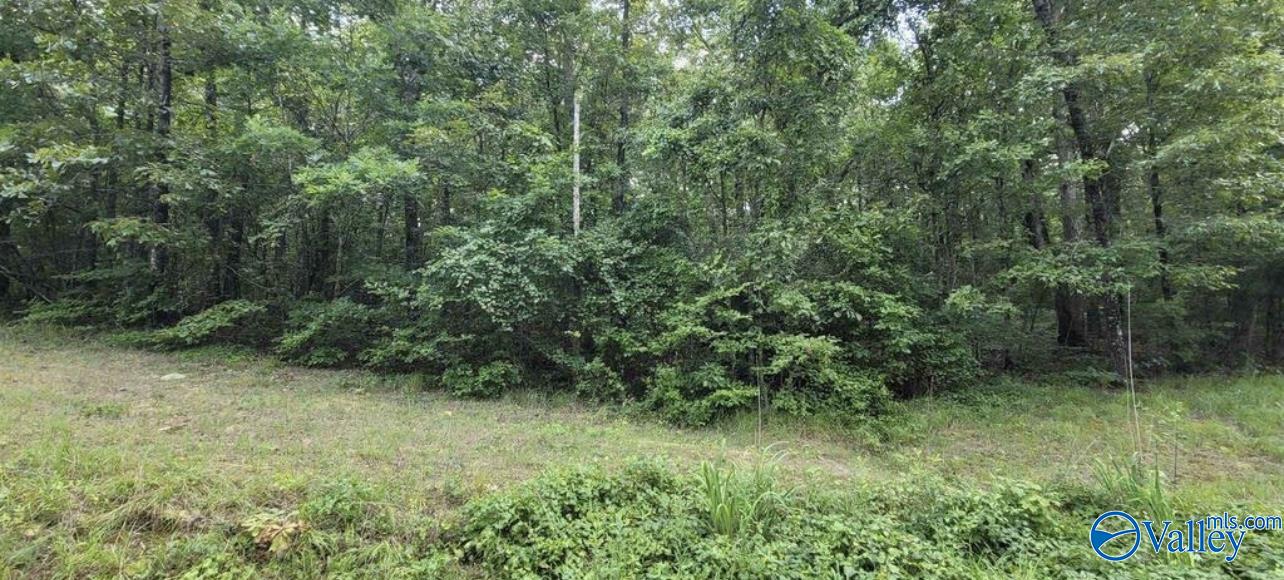 1.1 Acre Quail Run, Hamilton, Alabama image 1