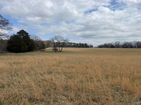 Vacant Land For Sale - LOT 1 Holt Road<br/> Athens, AL 35613