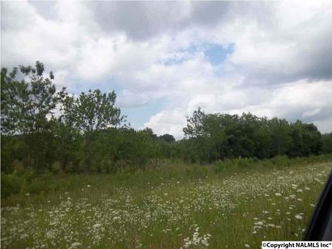 Vacant Land For Sale - County Road 229<br/> Moulton, AL 35650
