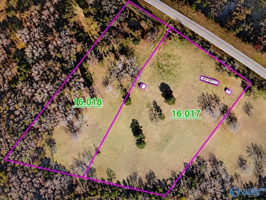 4561 ALABAMA HIGHWAY 68 W, LEESBURG, AL 35983 - Image 443ef25973e83ea65d8f44dbccb366f5/1352691348