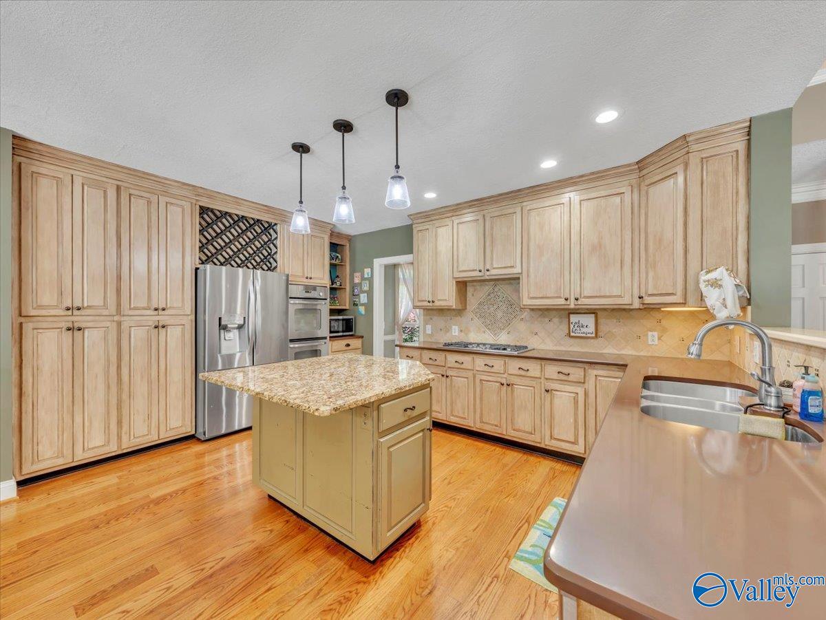 105 Chasewood Cove, Scottsboro, Alabama image 13