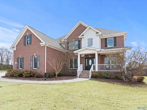 Homes For Sale - 6 SW Cassine Court<br/> Huntsville, AL 35824
