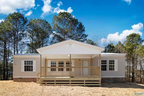 Mobile Home For Sale - 59 Tanner Road<br/> Horton, AL 35980