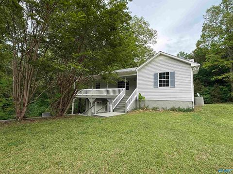 Homes For Sale - 45 County Road 1424<br/> Cullman County, Vinemont, AL 35179