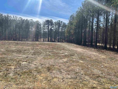 Vacant Land For Sale - 89 Golden Pond Road<br/> Saint Clair County, Ashville, AL 35953