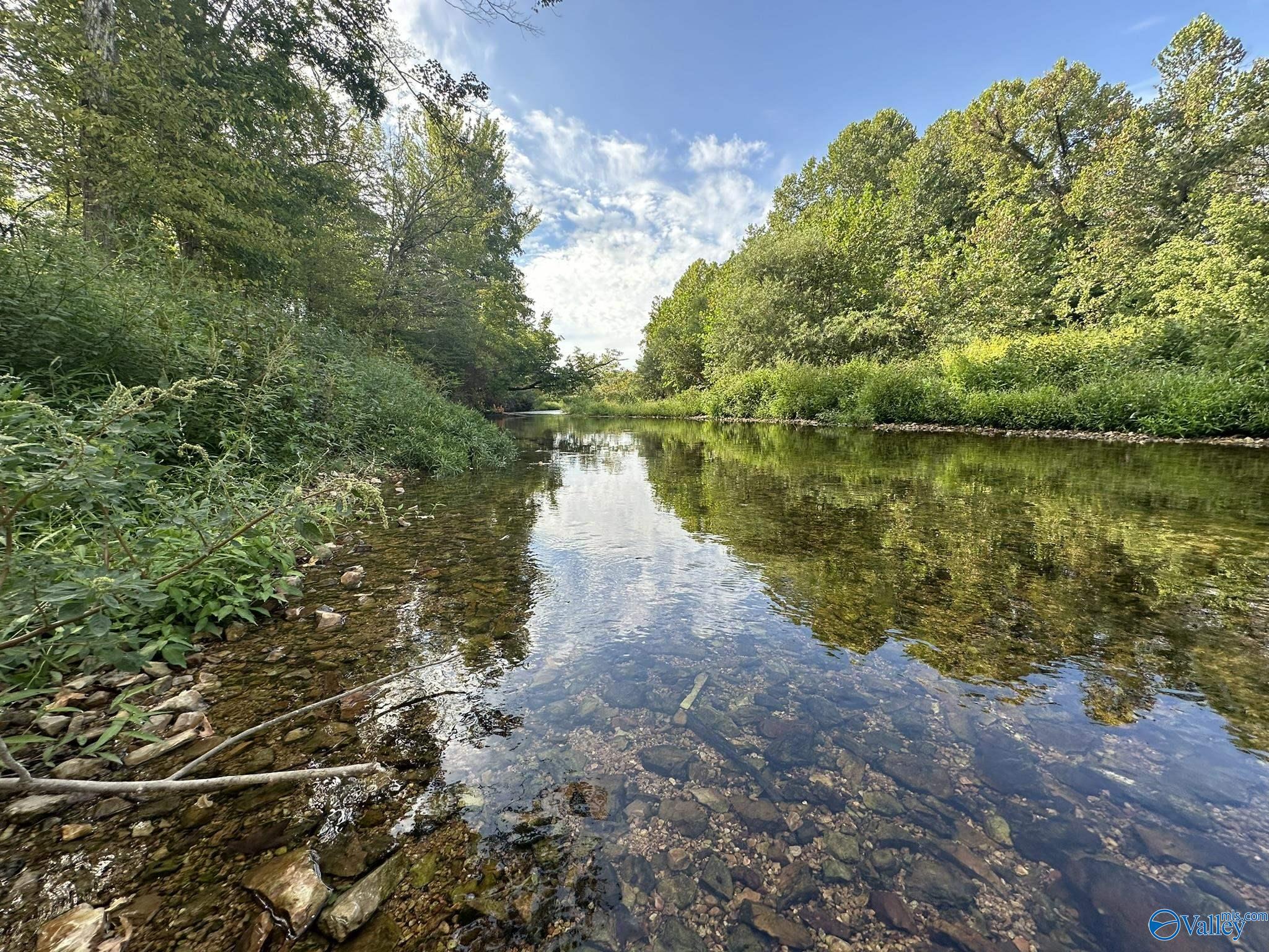 185 Acres Phillips Road, Waynesboro, Tennessee image 1