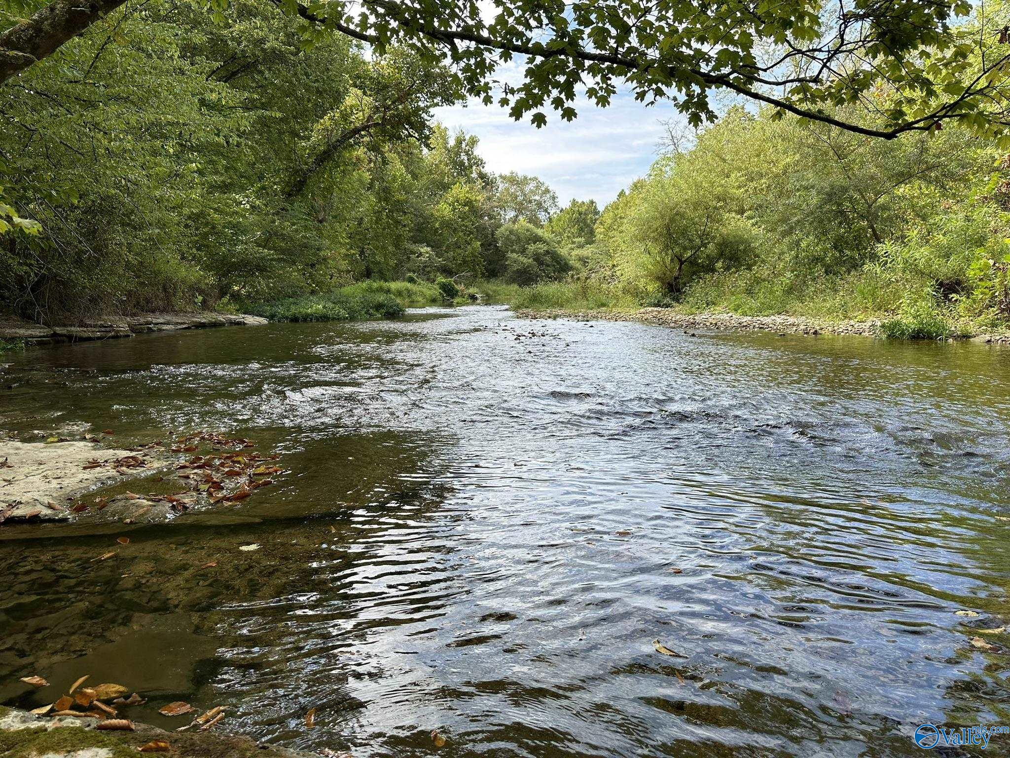 185 Acres Phillips Road, Waynesboro, Tennessee image 16