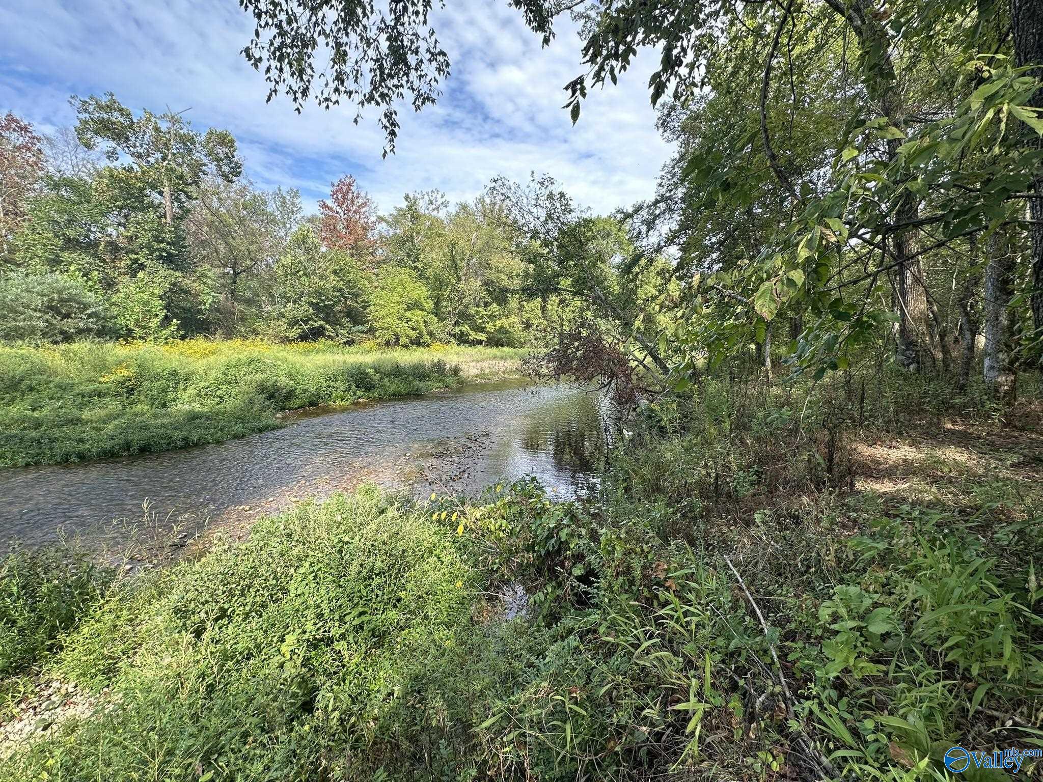 185 Acres Phillips Road, Waynesboro, Tennessee image 3