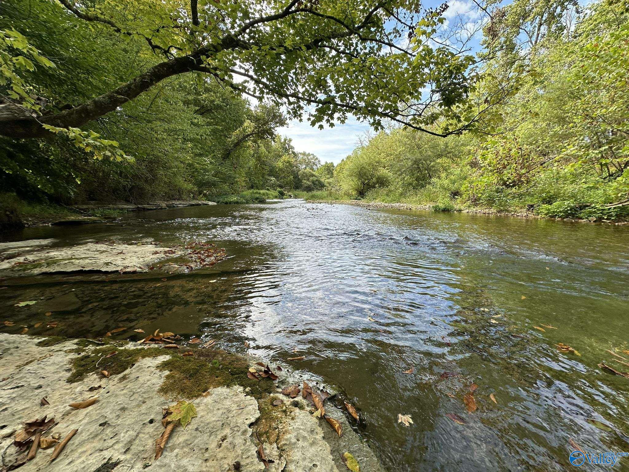 185 Acres Phillips Road, Waynesboro, Tennessee image 15