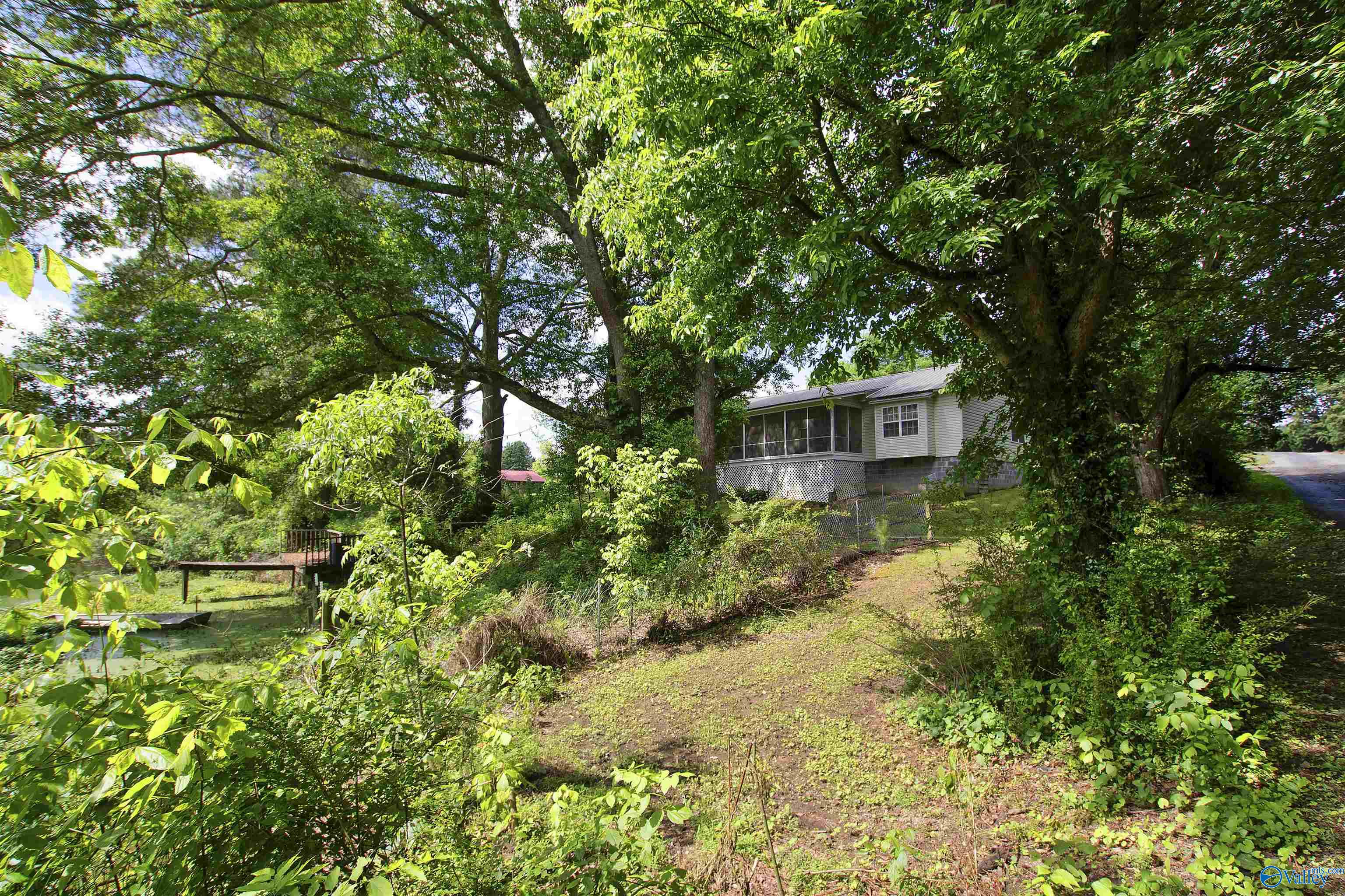 3854 Oneonta Cut-off Road, Albertville, Alabama image 4