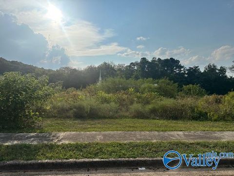Vacant Land For Sale - 6603 Amberlee Lane<br/> Huntsville, AL 35810
