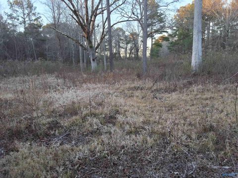 Vacant Land For Sale - 3.02 ACRES Euclid Road<br/> Gadsden, AL 35903