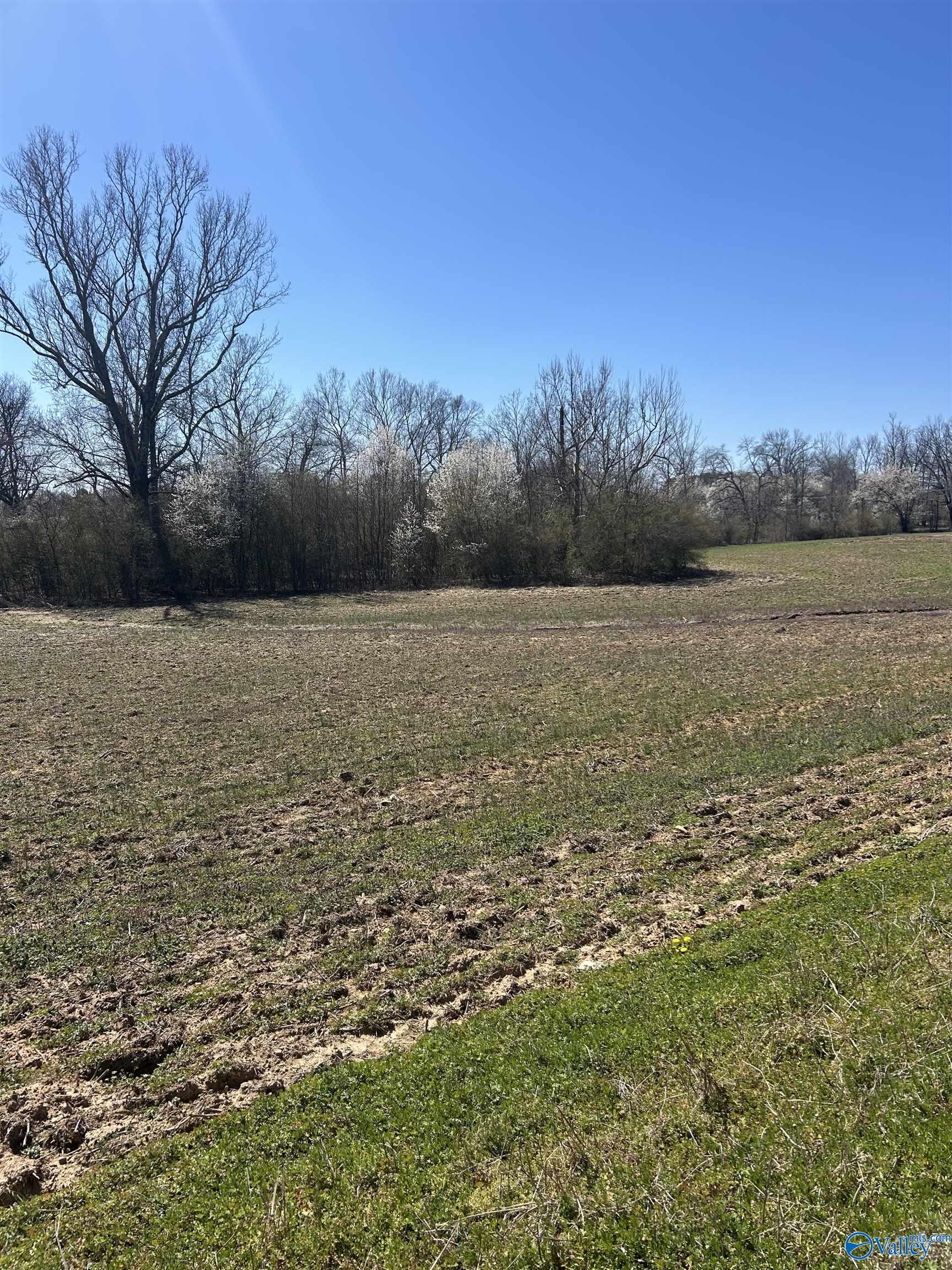 15 Acres Highland Drive, Arab, Alabama image 3
