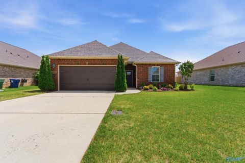 Photo of 29956 Plantation Park Drive, Harvest, AL 35749 (MLS # 21917483)