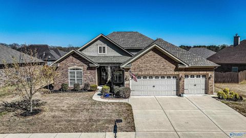 Photo of 125 Autumn Cove Drive, Madison, AL 35756 (MLS # 21912897)