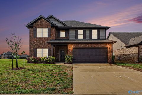 Homes For Sale - 254 Holt Street<br/> Meridianville, AL 35759