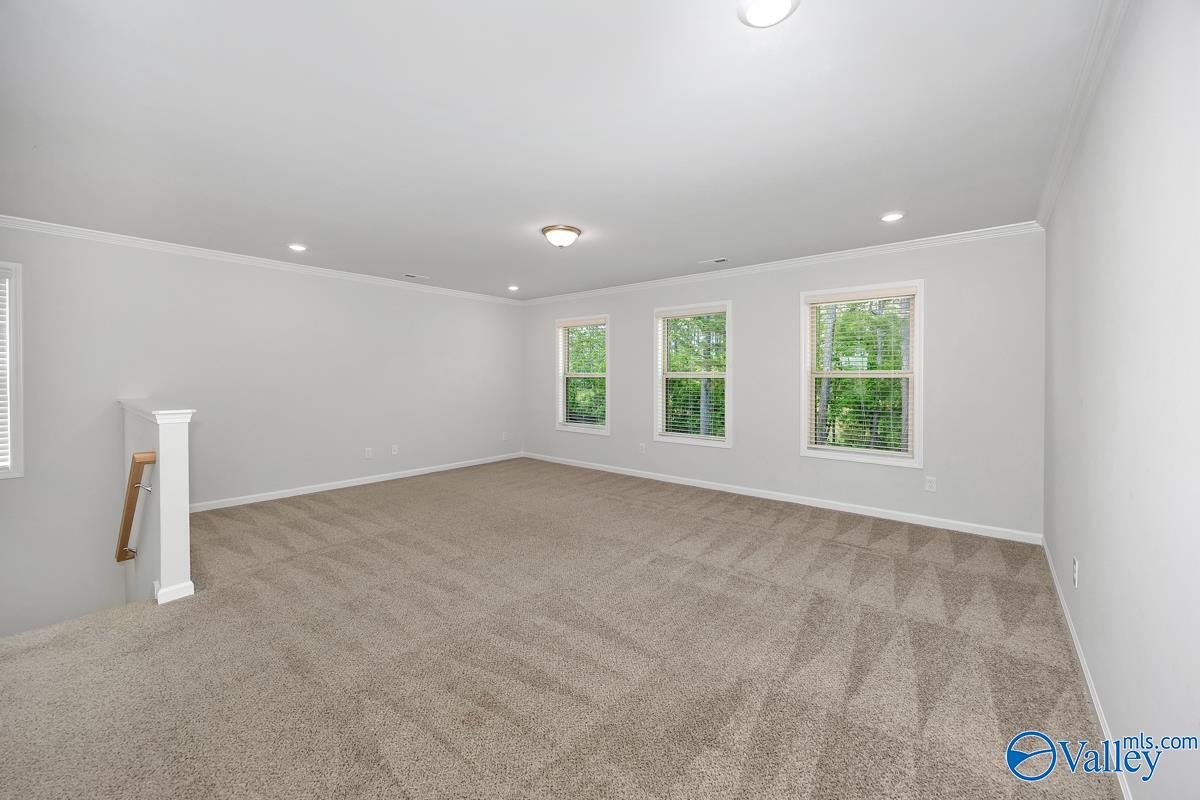 117 Waltrip Drive, Owens Cross Roads, Alabama image 21