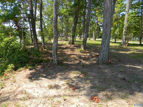 Vacant Land For Sale - LOTS 39 * 40 County Road 182<br/> Cherokee County, Cedar Bluff, AL 35959