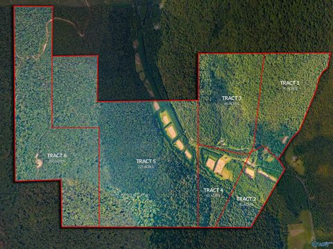 Vacant Land For Sale - 3818 -4 County Road 4 #TRACT 4<br/> Hollytree, AL 35751