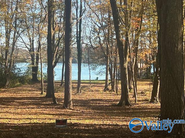 740 Point Of Pines, Guntersville, Alabama image 16