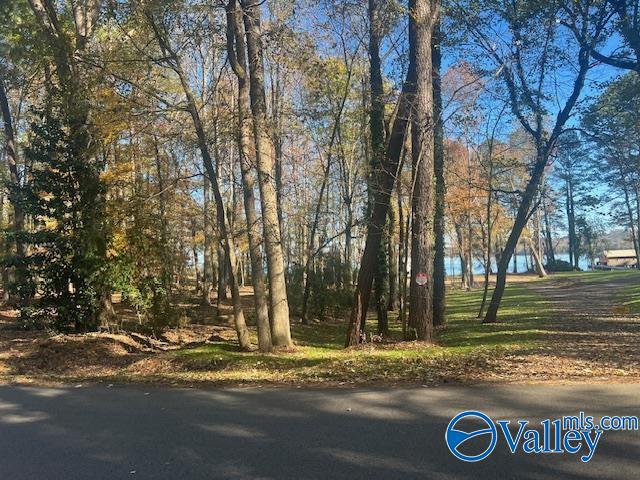 740 Point Of Pines, Guntersville, Alabama image 9