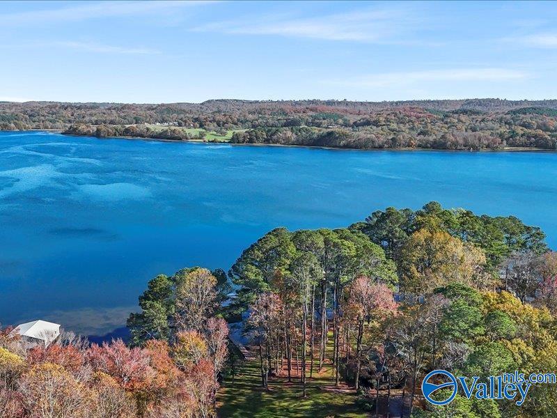 740 Point Of Pines, Guntersville, Alabama image 11