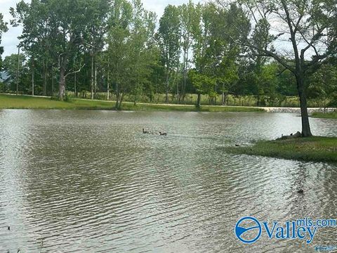 Vacant Land For Sale - LOT 6 & 7 County Road 115 #LOT 67<br/> Cherokee County, Cedar Bluff, AL 35959