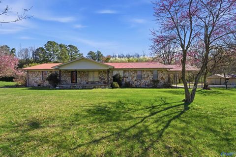 Photo of 132 County Road 58, Pisgah, AL 35765 (MLS # 21913469)