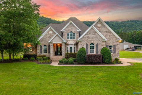 Homes For Sale - 7805 Owls Hollow Road<br/> Etowah County, Gadsden, AL 35901