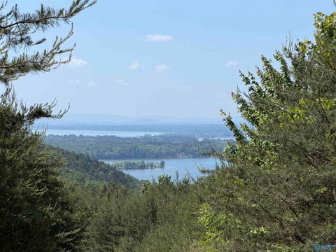 122 County Road 75 Cedar Bluff AL 35959