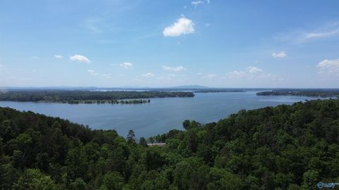 Vacant Land For Sale - 122 County Road 75<br/> Cedar Bluff, AL 35959